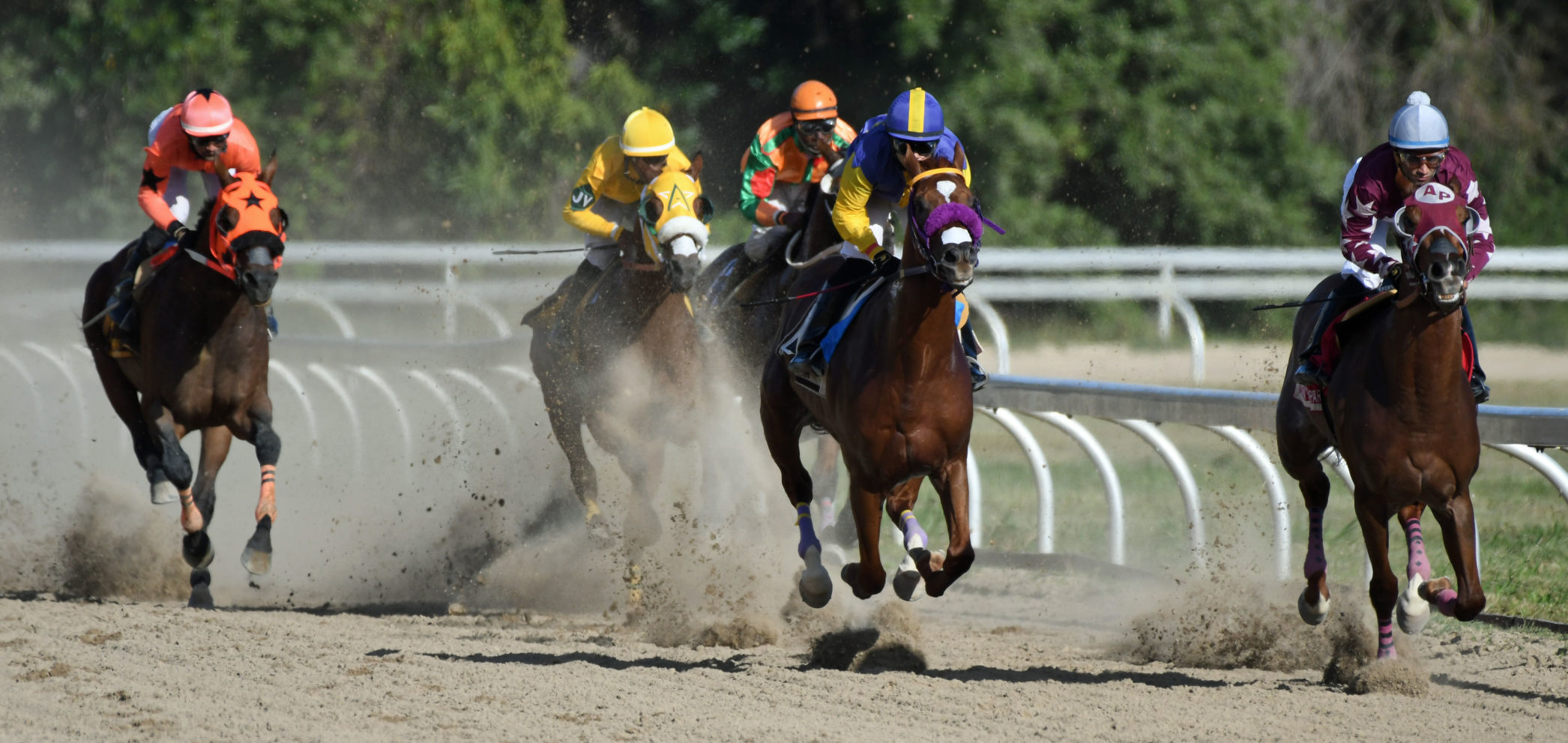 Phipps Race Track 2
